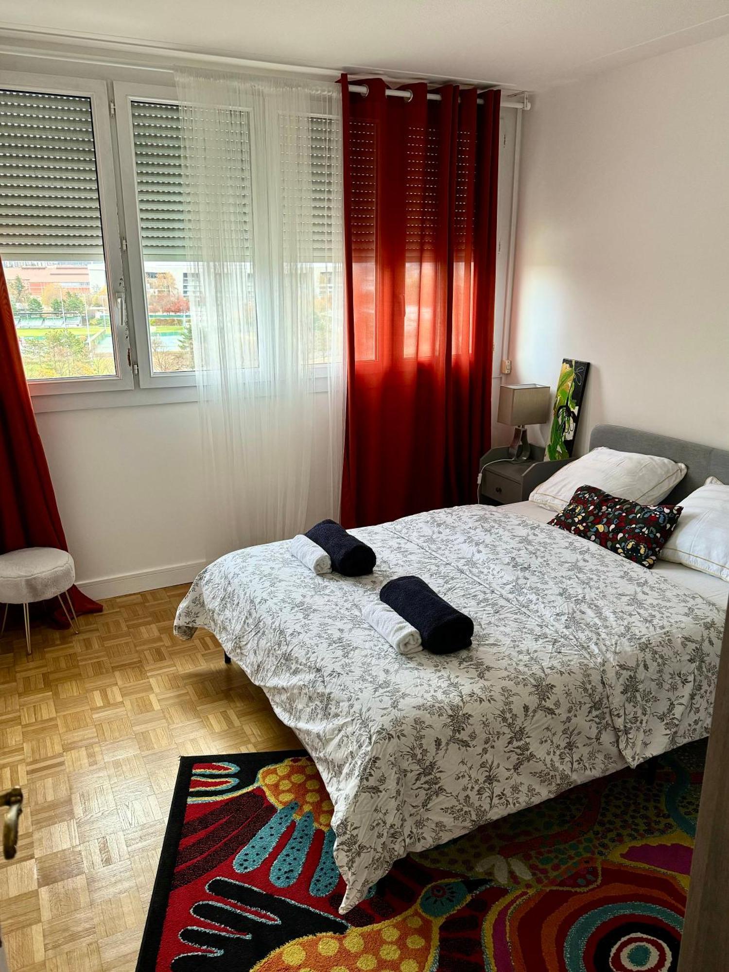 Bergson Top: Spacious Renovated Apartment with Balcony and Panoramic Views Saint-Etienne  Exterior photo